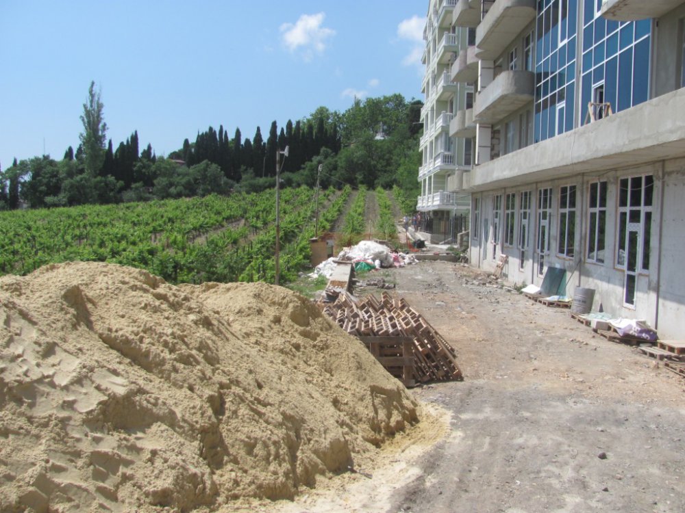 По факту строительства многоэтажек на виноградниках «Массандры» проведут проверку