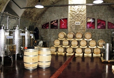 «Массандра» открыла элитную винодельню в старинном подвале Гурзуфа